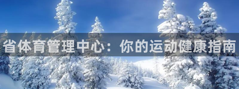 必一体育官方网站入口