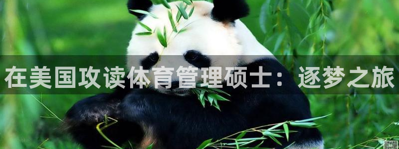 必一体育登陆