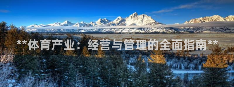 必一体育是哪里的台子