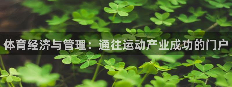 必一体育在线官网