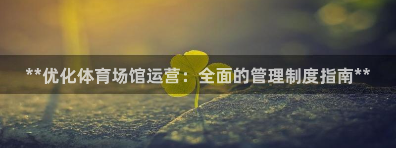 必一体育官方网站入口