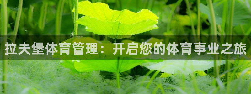 必一体育：拉夫堡体育
