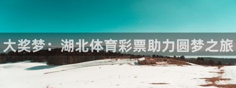 必一运动 b 体育素