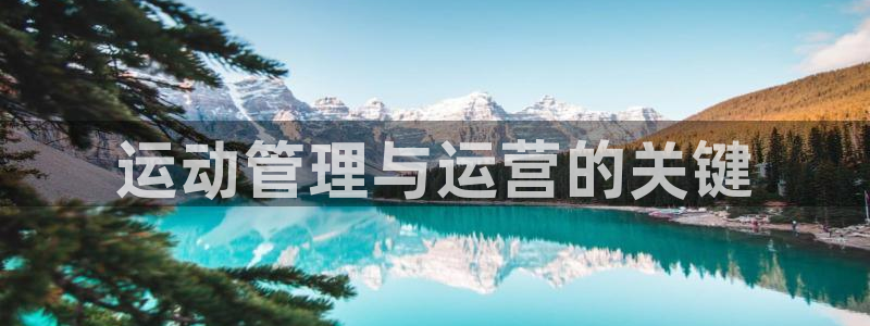 必一体育没了：运动管
