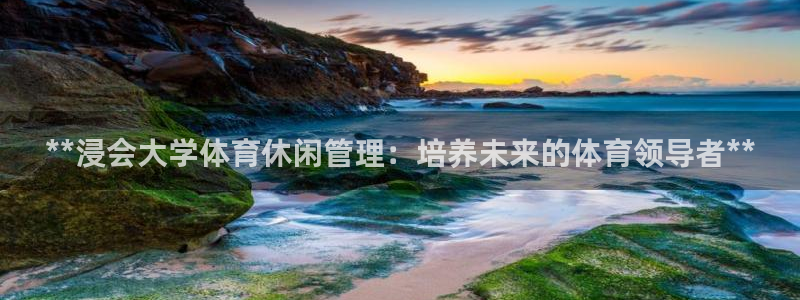 必一体育sport：