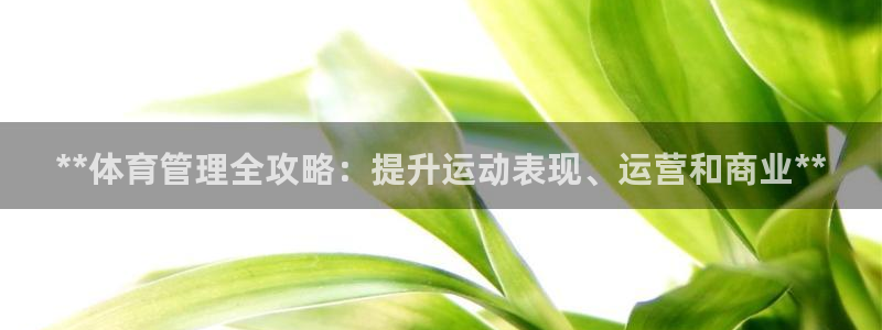 b体育官网下载入口a