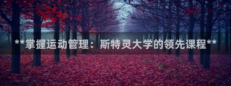 必一运动体育官网下载