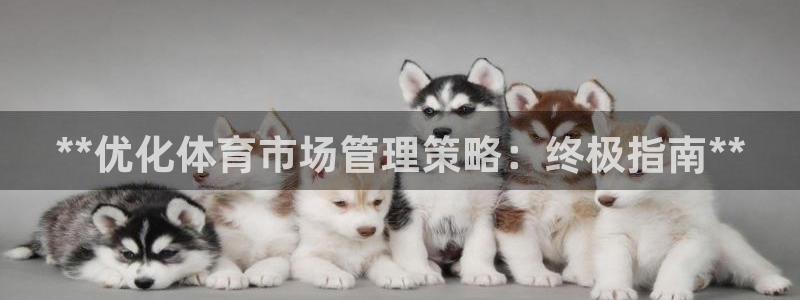 必一体育平台：**优