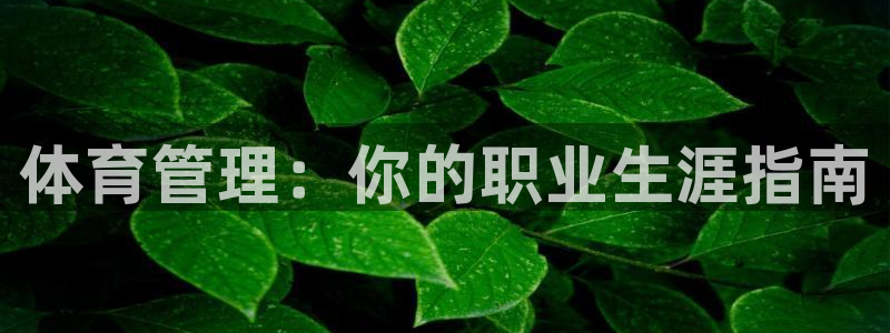 必一体育sport网