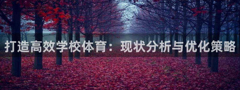 必一体育旧版