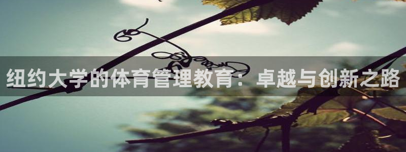 b体育必一运动网页版