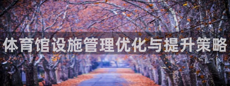 必一体育网页：体育馆