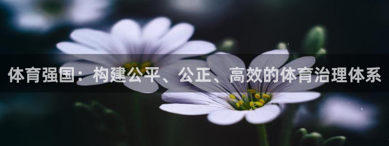 必一运动·(B-sp