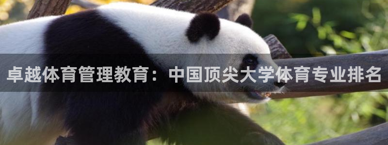b体育必一运动网页版