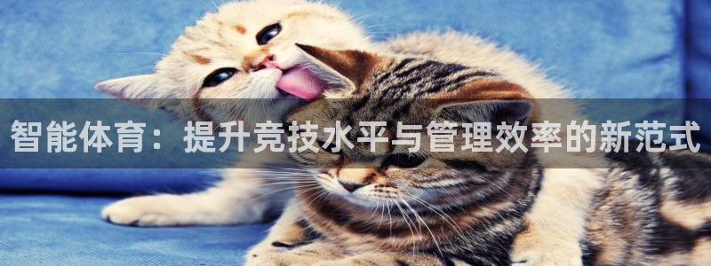 必一体育sport下