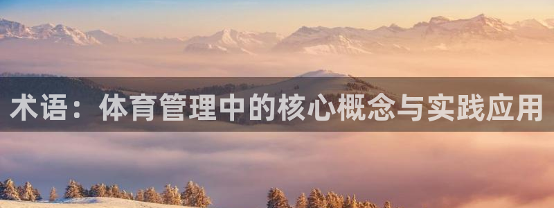 必一体育sportB