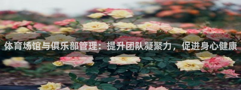 必一体育手机下载：体