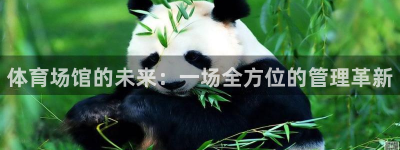 必一体育app下载最新版本苹果：体育场馆的未来：一场全方位的