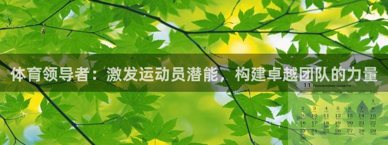 必一体育登入：体育领