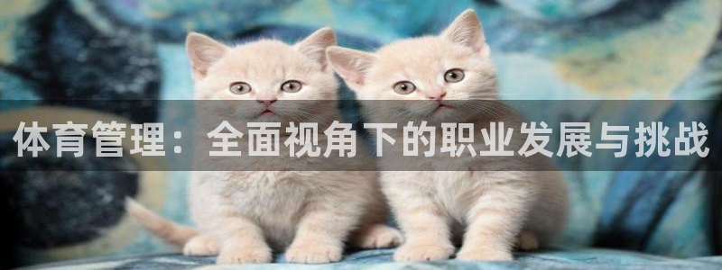 必一体育合法吗：体育