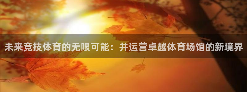 必一体育是啥：未来竞