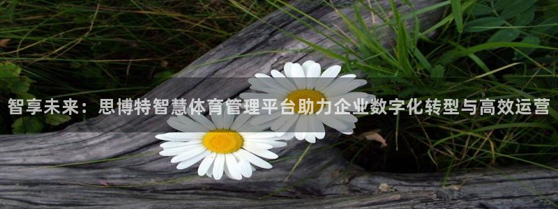必一体育在线登录：智享未来：思博特智慧体育管理平台助力企业数