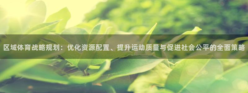 必一体育运动app：区域体育战略规划：优化资源配置、提升运动