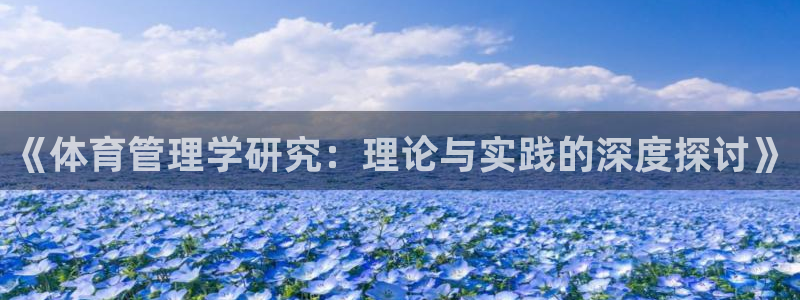 必一体育登入：《体育管理学研究：理论与实践的深度探讨》