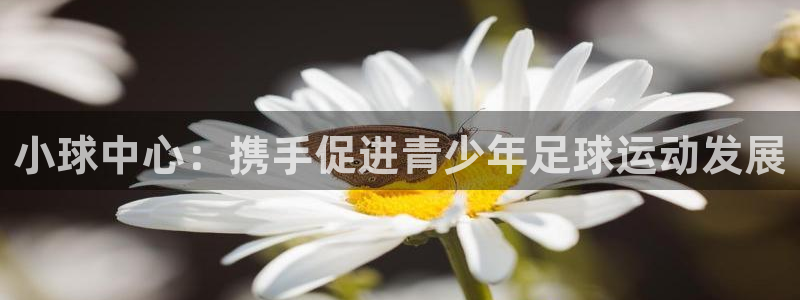 必一体育合法吗：小球