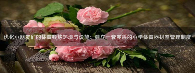 必一体育app官方正