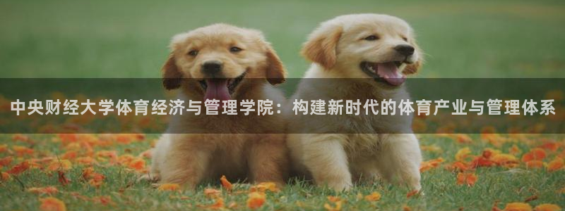 必一体育下载：中央财经大学体育经济与管理学院：构建新时代的体