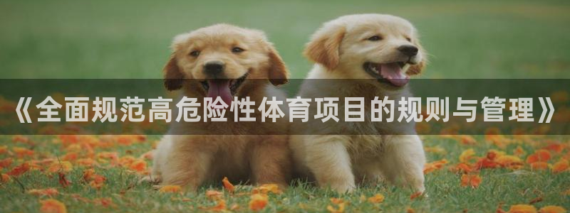 必一运动·体育：《全面规范高危险性体育项目的规则与管理》