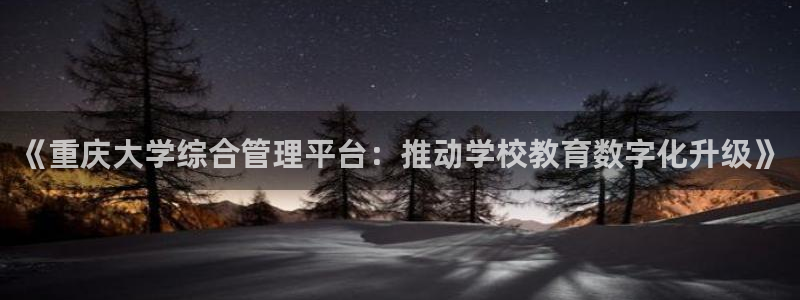 必一体育下载：《重庆