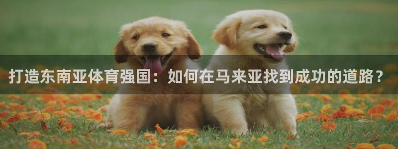 必一体育平台：打造东