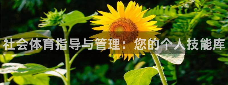b体育必一下载：社会