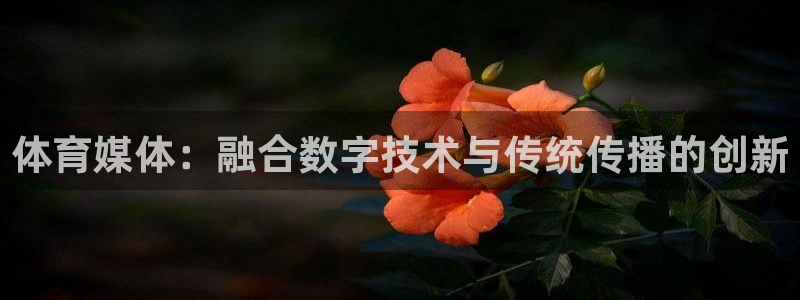 必一体育下载一样吗：