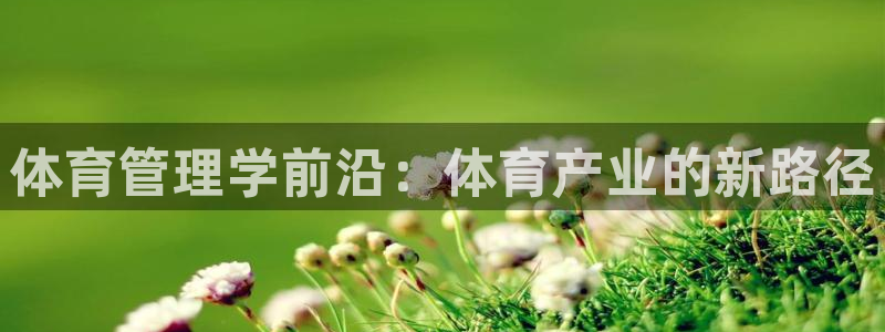 必一体育sport官方网站：体育管理学前沿：体育产业的新路径