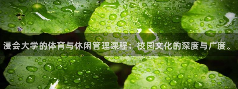 必一体育app官方下载入口：浸会大学的体育与休闲管理课程：校