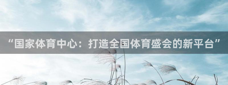 必一运动·体育：“国