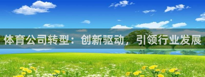 必一体育在哪下：体育