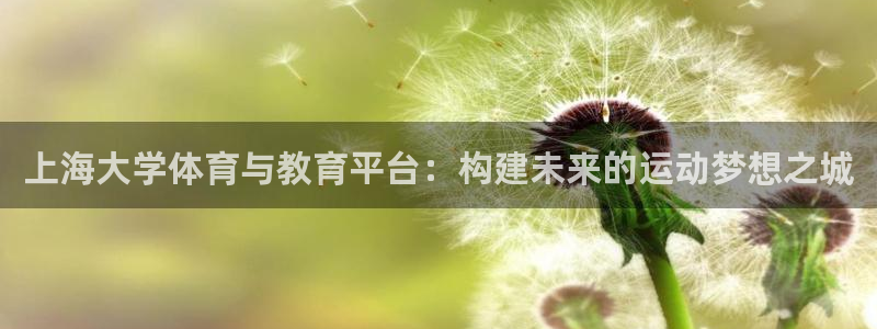 必一体育在线入口：上