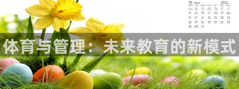 必一体育bsport