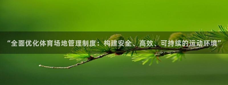 必一体育APP：“全