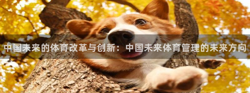 必一运动听的歌：中国
