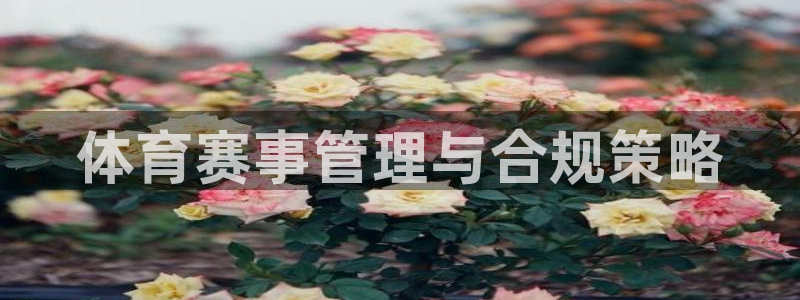 必一体育官网入口：体育赛事管理与合规策略