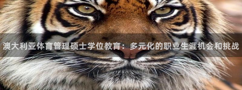 必一体育在线下载：澳大利亚体育管理硕士学位教育：多元化的职业
