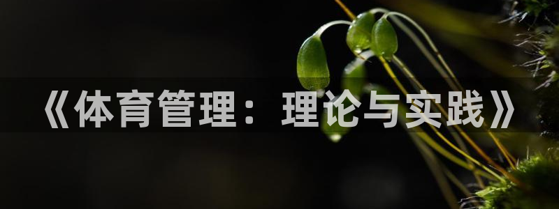 必一运动官网装机吧：《体育管理：理论与实践》