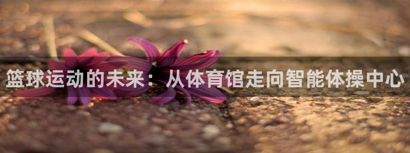 必一体育网页版登录：