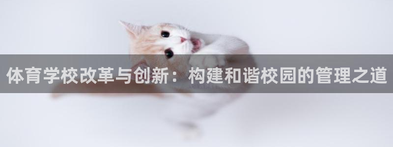 必一体育运动app：