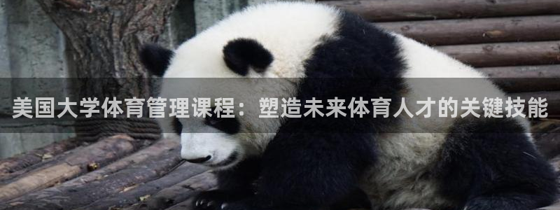 必一体育周公：美国大学体育管理课程：塑造未来体育人才的关键技